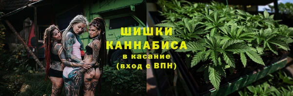 сатива Алексин