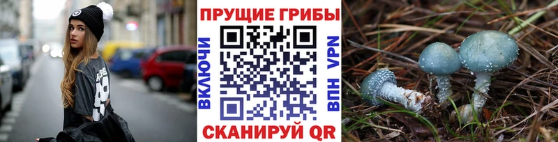 Псилоцибиновые грибы мухоморы  Мегион 